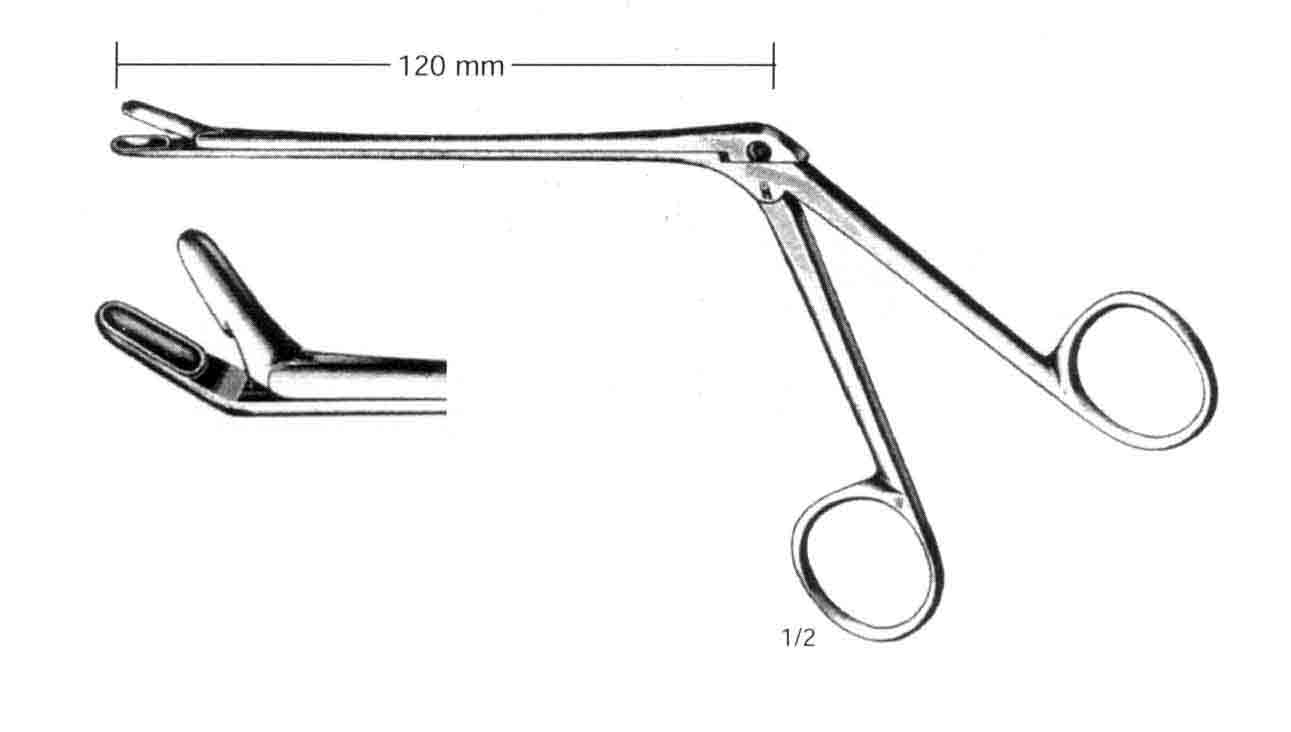 SEPTUM PANÇ YUKARI 12 CM